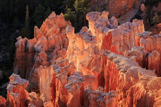 The first rays of the day illuminate the rock formations, Bryce Canyon National Park, North