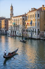Evening atmosphere on the Grand Canal with gondoliers, view from the Rialto Bridge, Venice, Veneto,