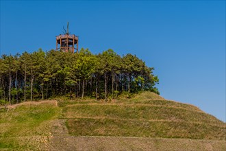 Wooden observation tower in center of grove of trees on top of manicured hill in South Korea