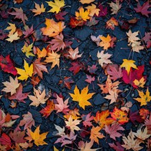 Seamless pattern of maple leaves scattered on the ground AI generated