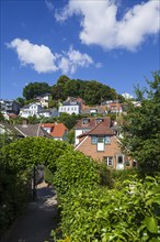 Suellberg with villas in the Treppenviertel, residential building, Blankenese district, Hamburg,