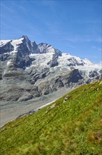 View from Franz Joseph Hoehe into the mountains (Grossglockner) with Pasterze on a sunny day at