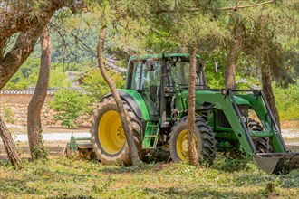 Green tractor with yellow wheels parked in shade of grove of trees in South Korea