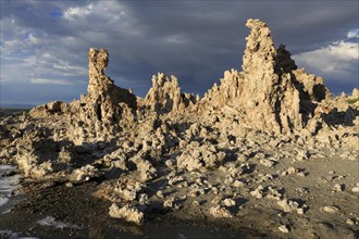 Tufa formations rise on the shore of a lake, illuminated by evening light, Mono Lake, North