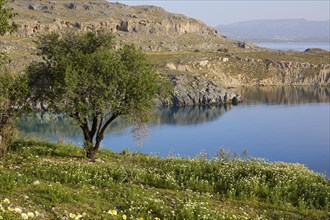 Tranquil sea cove next to rocky shores, surrounded by greenery and the reflection of the sky,