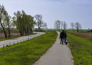 Walkers on a cycle path in the countryside, Moenchgut, Ruegen, Mecklenburg-Western Pomerania,
