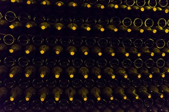 Wine bottles stored in the underground cellar for aging