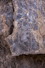 Salt crystals bound in rock, Valle de la Luna, San Pedro de Atacama, Antofagasta, Chile, South