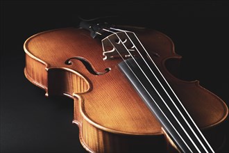 A violin lies in front of a dark background, illuminated to emphasise details and structure