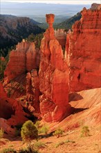 A striking rock tower rises up, surrounded by green vegetation and vast shadows, Bryce Canyon