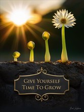 Flower in various stages of growth with sunrise and inspirational quote, AI generated