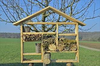 Nesting aid for wild bees and other insects with wood and elder stems, wild bee nesting aid, insect