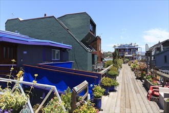 Houses on the water reached by a long wooden walkway with many green plants, San Francisco, North