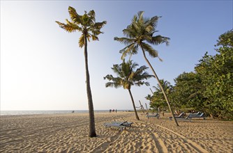 Evening atmosphere at Marari Beach, Mararikulam, Alappuzha district, Kerala, India, Asia