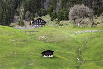Typical farmhouses on a green meadow, Mittelberg, Kleinwalsertal, Vorarlberg, Allgaeu Alps,