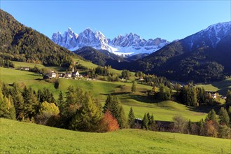 Autumn forests with green meadows and snow-capped Dolomites in the background, Italy, Trentino-Alto