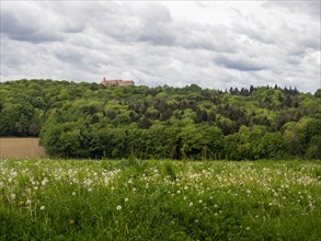 Meadow and forest edge, arable land, Riegersburg Castle in the background, near Riegersburg,
