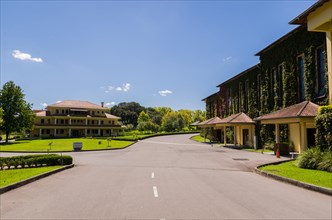 Bento Golcalves, Brasil, April 07, 2017: Luxury Winery, Vineyard of grapes in the Vale dos Vinhedos