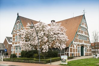 Half-timbered house, Jork, Altes Land, Lower Saxony, Germany, Europe