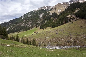 Gemsteltal, Mittelberg, Kleinwalsertal, Vorarlberg, Allgaeu Alps, Austria, Europe