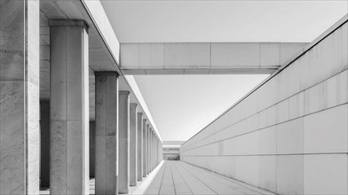 A symmetrical greyscale image of a corridor lined with columns, AI generated