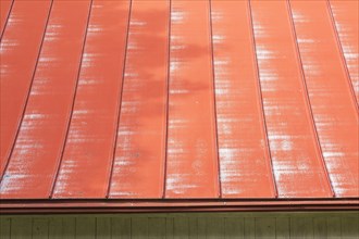 Weathered red standing seam sheet metal roof on old white vertical wood plank and red trim barn,