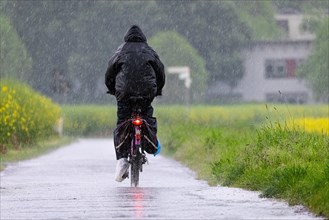A cyclist rides along a country lane in heavy rain in the north-west of Frankfurt am Main,