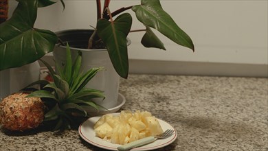 A plate of chopped pineapple sits on a countertop beside a potted plant