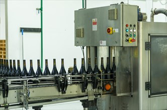 Wine production machine, filling the bottles. Industrial production