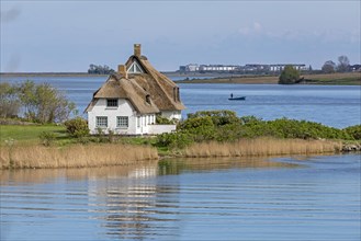 Thatched roof house, boat, herring fishing, Rabelsund, Rabel, Schlei, Schleswig-Holstein, Germany,