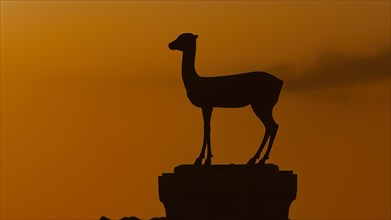 Silhouette of an animal statue in front of an orange-red sky at sunset, European roe deer statue,
