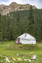 Yurt, Terskey Ala Too, Kyrgyzstan, Asia