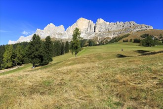 Wide valley with green meadows in front of an imposing mountain range under a blue sky, Italy, Alto