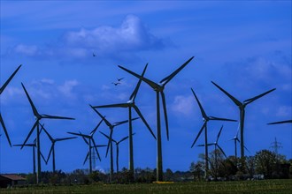 Wind turbines in the Luetetsburg wind farm on the North Sea coast, Hagermarsch, East Frisia, Lower