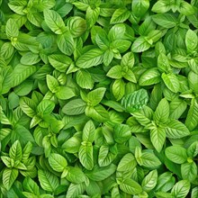 Seamless background of fresh mint leaves AI generated