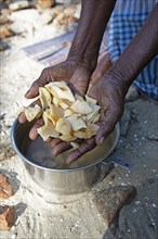 Women's hands showing pieces of manioc root, Kerala, India, Asia