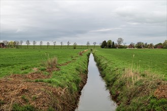 Drainage ditch between Ditzum and Pogum, view to the north, Ems dyke in the background,
