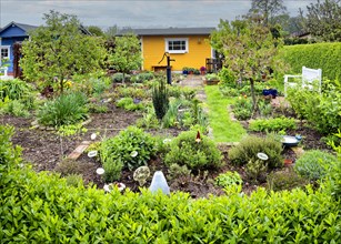 Allotment garden, allotment garden, garden in an allotment garden site, Leipzig, Saxony, Germany,