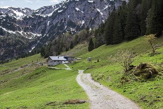 Hiking trail through green meadows, behind Hintere Gemstel-Huette, Gemsteltal, Mittelberg,