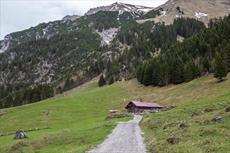 Naturalpe Gemstel-Schoenesboden-Alpe, Gemsteltal, Mittelberg, Kleinwalsertal, Vorarlberg, Allgaeu