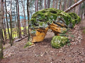 The rock castle near Burgkunstadt is a naturally formed natural stone arch. The rock formation was
