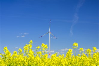 Tomerdingen wind farm, Swabian Alb, Baden-Wuerttemberg, Germany, Europe