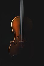 A violin in soft light against a dark background radiates elegance