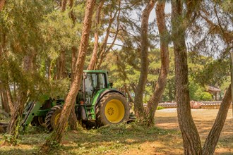 Green tractor with yellow wheels parked in shade of grove of trees in South Korea