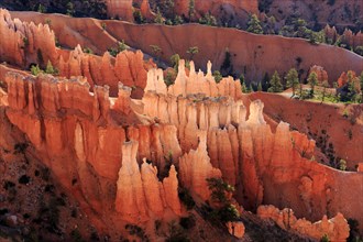 A picture of impressive orange-coloured rock formations with green trees under a clear sky, Bryce