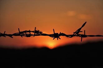Barbed wire, threatening, sunset, Germany, Europe