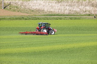 Farmer fertilising his field with a tractor, Neidlingen, Baden-Wuerttemberg, Germany, Europe