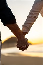 Vertical close-up of lovers holding hands gazing sunset on the beach