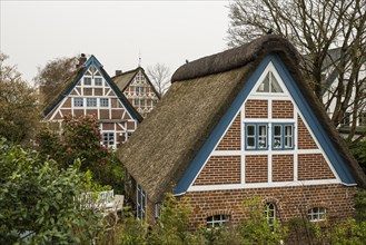 Half-timbered houses with thatched roofs, Steinkirchen, near Jork, Altes Land, Lower Saxony,
