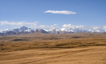 Glaciated and snow-capped mountains, autumnal mountain landscape with yellow grass, Tian Shan, Sky